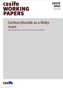 Carbon Dioxide as a Risky Asset