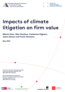 Impacts of Climate Litigation on Firm Value