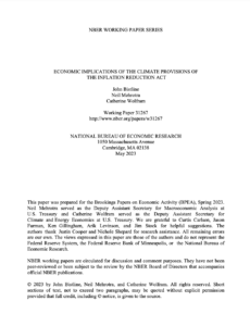 Economic Implications of the Climate Provisions of the Inflation Reduction Act