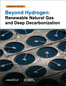 Beyond Hydrogen: Renewable Gas and Deep Decarbonization