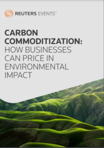 Carbon Commoditization – How Businesses Can Price in Environmental Impact