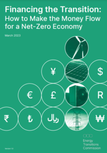 Financing the Transition: How to Make the Money Flow for a Net-Zero Economy
