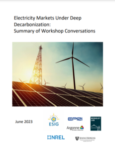 Electricity Markets Under Deep Decarbonization: Summary of Workshop Conversations