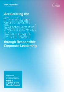 Accelerating the Carbon Removal Market Through Responsible Corporate Leadership