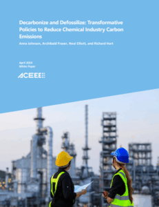 Decarbonize and Defossilize: Transformative Policies to Reduce Chemical Industry Carbon Emissions