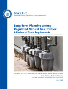 Long-Term Planning among Regulated Natural Gas Utilities
