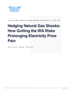 Hedging Natural Gas Shocks