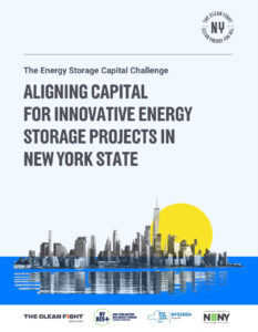 The Energy Storage Capital Challenge