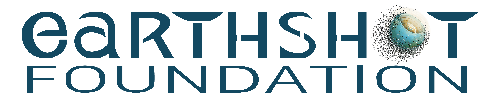 The Earthshot Foundation