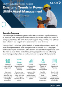 Emerging Trends in Power Utility Asset Management