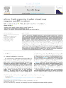 Advanced Dynamic Programming for Optimal Microgrid Energy Management Under RER Intermittency