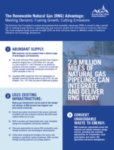 The Renewable Natural Gas (RNG) Advantage