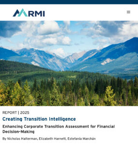 Creating Transition Intelligence