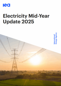 Electricity Mid-Year Update 2025