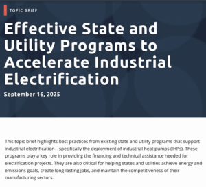 Effective State and Utility Programs to Accelerate Industrial Electrification