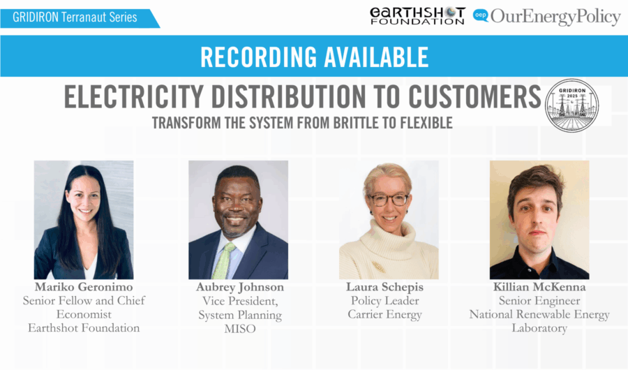 Electricity Distribution to Customers