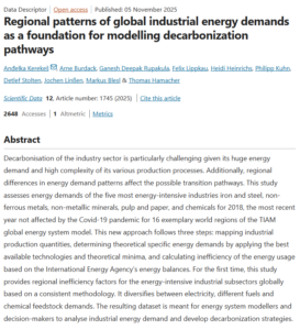 Regional Patterns of Global Industrial Energy Demands as a Foundation for Modelling Decarbonization Pathways